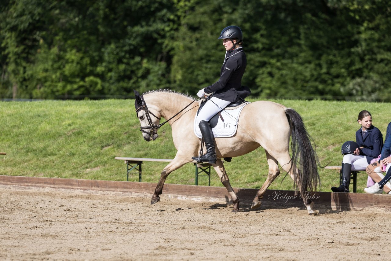 Bild 491 - Pony Akademie Turnier